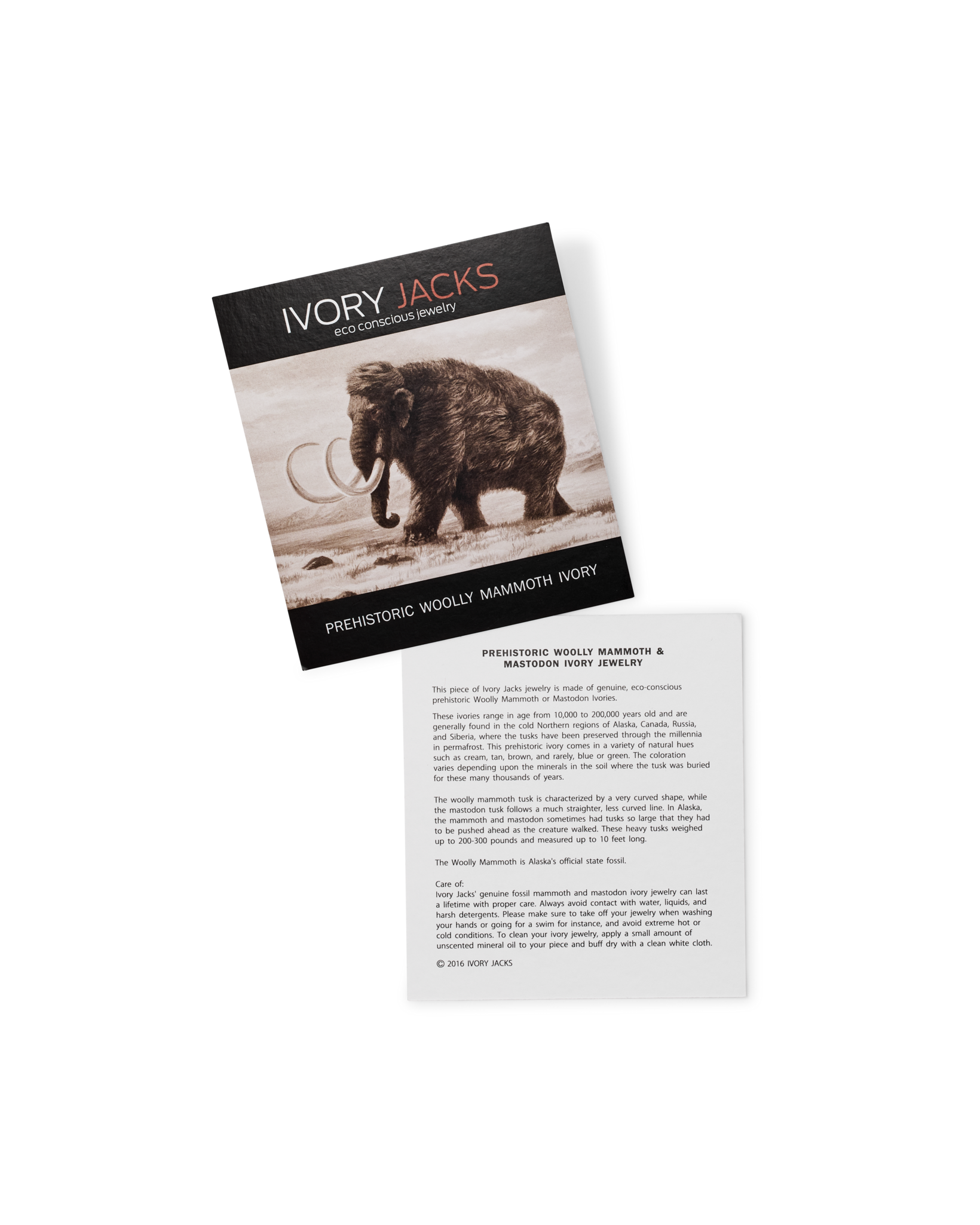 Ivory Jacks Mammoth Bead Bracelet - Wht - Image 5